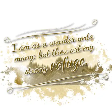 Psalms 71:7 – I am as a wonder unto many; but thou art my strong refuge.