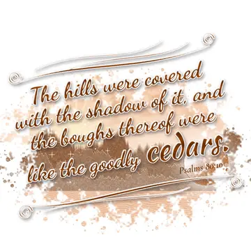 Psalms 80:10 – The hills were covered with the shadow of it, and the boughs thereof were like the goodly cedars.