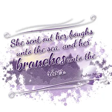 Psalms 80:11 – She sent out her boughs unto the sea, and her branches unto the river.