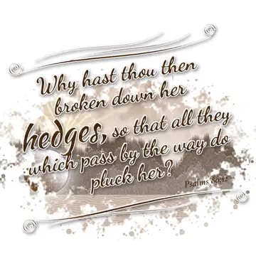Psalms 80:12 – Why hast thou then broken down her hedges, so that all they which pass by the way do pluck her?