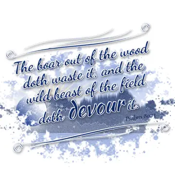 Psalms 80:13 – The boar out of the wood doth waste it, and the wild beast of the field doth devour it.