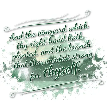 Psalms 80:15 – And the vineyard which thy right hand hath planted, and the branch that thou madest strong for thyself.