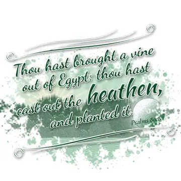 Psalms 80:8 – Thou hast brought a vine out of Egypt: thou hast cast out the heathen, and planted it.