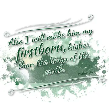Psalms 89:27 – Also I will make him my firstborn, higher than the kings of the earth.