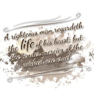 Proverbs 12:10 – A righteous man regardeth the life of his beast: but the tender mercies of the wicked are cruel.