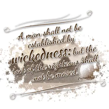 Proverbs 12:3 – A man shall not be established by wickedness: but the root of the righteous shall not be moved.