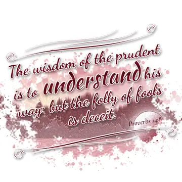 Proverbs 14:8 – The wisdom of the prudent is to understand his way: but the folly of fools is deceit.