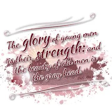 Proverbs 20:29 – The glory of young men is their strength: and the beauty of old men is the gray head.