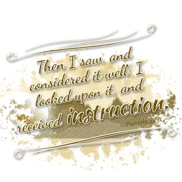 Proverbs 24:32 – Then I saw, and considered it well: I looked upon it, and received instruction.