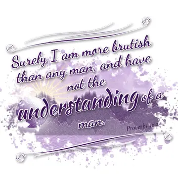 Proverbs 30:2 – Surely I am more brutish than any man, and have not the understanding of a man.