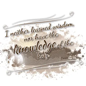 Proverbs 30:3 – I neither learned wisdom, nor have the knowledge of the holy.