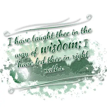 Proverbs 4:11 – I have taught thee in the way of wisdom; I have led thee in right paths.