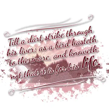 Proverbs 7:23 – Till a dart strike through his liver; as a bird hasteth to the snare, and knoweth not that it is for his life.
