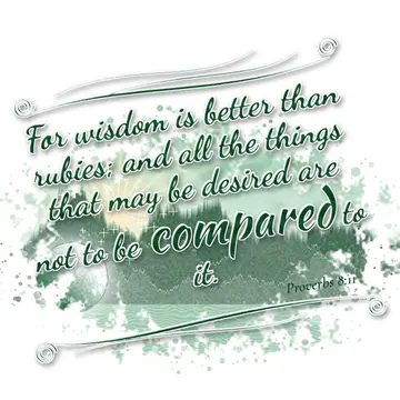 Proverbs 8:11 – For wisdom is better than rubies; and all the things that may be desired are not to be compared to it.