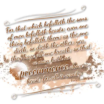 Ecclesiastes 3:19 – For that which befalleth the sons of men befalleth beasts; even one thing befalleth them: as the one dieth, so dieth the other; yea, they have all…