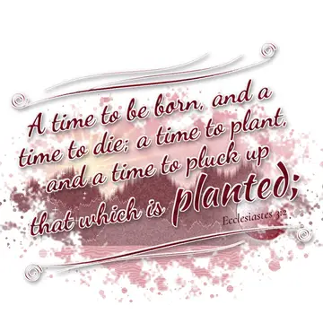 Ecclesiastes 3:2 – A time to be born, and a time to die; a time to plant, and a time to pluck up that which is planted;