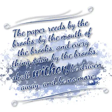 Isaiah 19:7 – The paper reeds by the brooks, by the mouth of the brooks, and every thing sown by the brooks, shall wither, be driven away, and be no more.