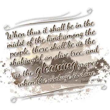 Isaiah 24:13 – When thus it shall be in the midst of the land among the people, there shall be as the shaking of an olive tree, and as the gleaning grapes when the…