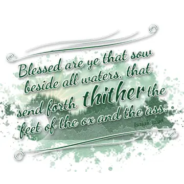 Isaiah 32:20 – Blessed are ye that sow beside all waters, that send forth thither the feet of the ox and the ass.