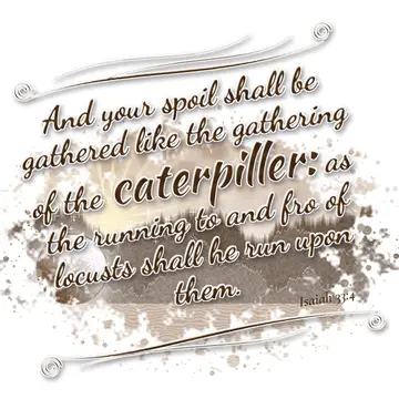 Isaiah 33:4 – And your spoil shall be gathered like the gathering of the caterpiller: as the running to and fro of locusts shall he run upon them.