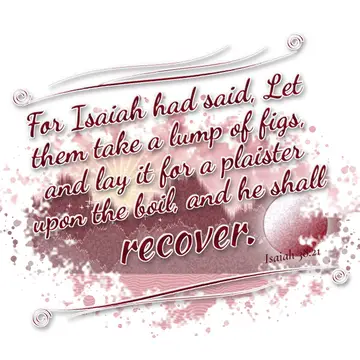 Isaiah 38:21 – For Isaiah had said, Let them take a lump of figs, and lay it for a plaister upon the boil, and he shall recover.