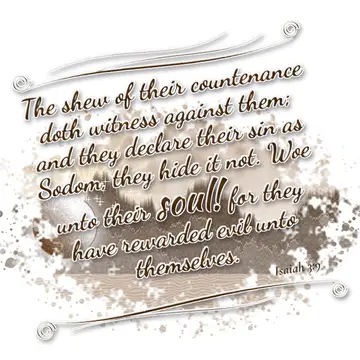 Isaiah 3:9 – The shew of their countenance doth witness against them; and they declare their sin as Sodom, they hide it not. Woe unto their soul! for they have…