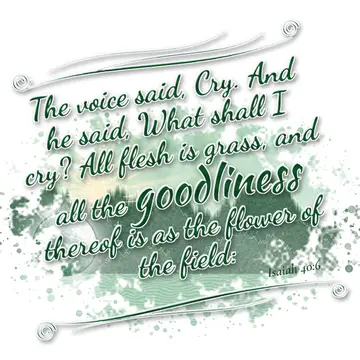 Isaiah 40:6 – The voice said, Cry. And he said, What shall I cry? All flesh is grass, and all the goodliness thereof is as the flower of the field:
