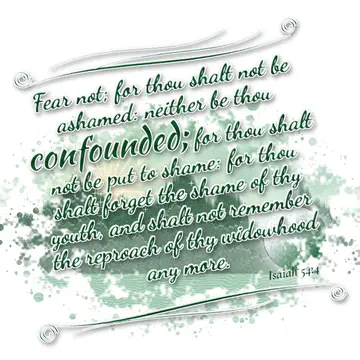 Isaiah 54:4 – Fear not; for thou shalt not be ashamed: neither be thou confounded; for thou shalt not be put to shame: for thou shalt forget the shame of thy…