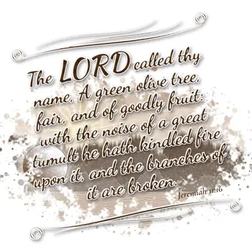 Jeremiah 11:16 – The LORD called thy name, A green olive tree, fair, and of goodly fruit: with the noise of a great tumult he hath kindled fire upon it, and the…