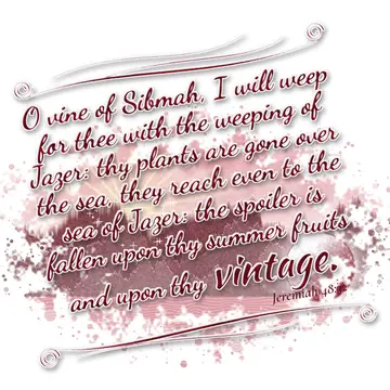 Jeremiah 48:32 – O vine of Sibmah, I will weep for thee with the weeping of Jazer: thy plants are gone over the sea, they reach even to the sea of Jazer: the spoiler…