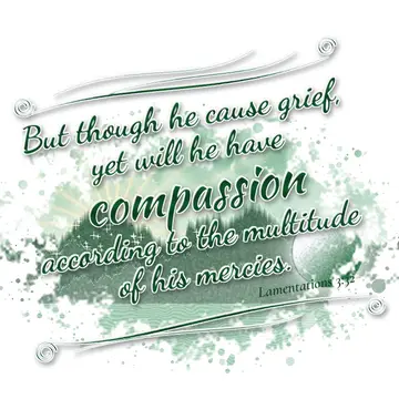 Lamentations 3:32 – But though he cause grief, yet will he have compassion according to the multitude of his mercies.