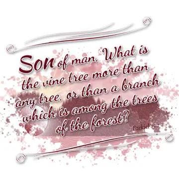 Ezekiel 15:2 – Son of man, What is the vine tree more than any tree, or than a branch which is among the trees of the forest?