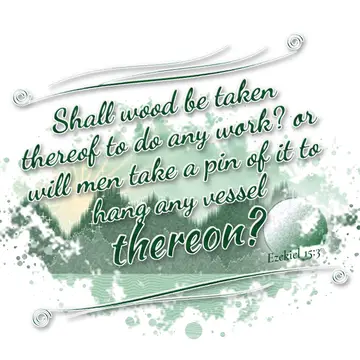 Ezekiel 15:3 – Shall wood be taken thereof to do any work? or will men take a pin of it to hang any vessel thereon?