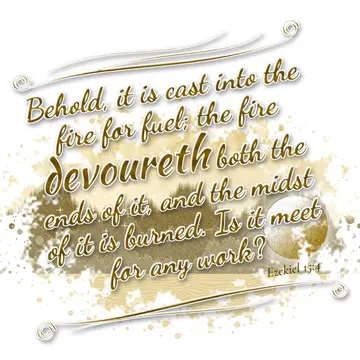 Ezekiel 15:4 – Behold, it is cast into the fire for fuel; the fire devoureth both the ends of it, and the midst of it is burned. Is it meet for any work?