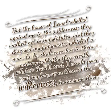 Ezekiel 20:13 – But the house of Israel rebelled against me in the wilderness: they walked not in my statutes, and they despised my judgments, which if a man do, he…
