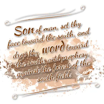 Ezekiel 20:46 – Son of man, set thy face toward the south, and drop thy word toward the south, and prophesy against the forest of the south field;