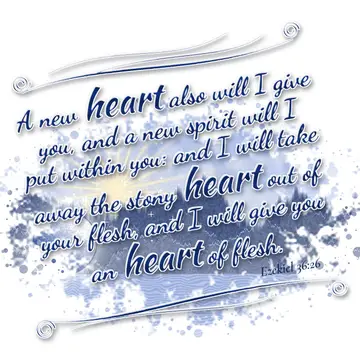 Ezekiel 36:26 – A new heart also will I give you, and a new spirit will I put within you: and I will take away the stony heart out of your flesh, and I will give you…