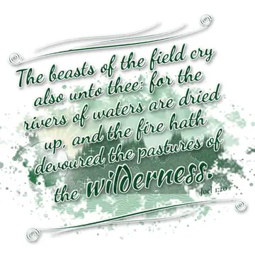 Joel 1:20 – The beasts of the field cry also unto thee: for the rivers of waters are dried up, and the fire hath devoured the pastures of the wilderness.