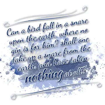Amos 3:5 – Can a bird fall in a snare upon the earth, where no gin is for him? shall one take up a snare from the earth, and have taken nothing at all?