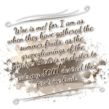 Micah 7:1 – Woe is me! for I am as when they have gathered the summer fruits, as the grapegleanings of the vintage: there is no cluster to eat: my soul…