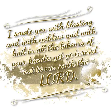 Haggai 2:17 – I smote you with blasting and with mildew and with hail in all the labours of your hands; yet ye turned not to me, saith the LORD.