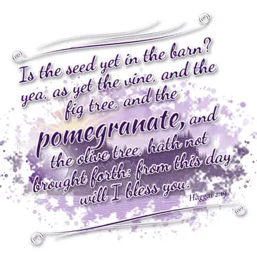 Haggai 2:19 – Is the seed yet in the barn? yea, as yet the vine, and the fig tree, and the pomegranate, and the olive tree, hath not brought forth: from this day…