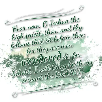 Zechariah 3:8 – Hear now, O Joshua the high priest, thou, and thy fellows that sit before thee: for they are men wondered at: for, behold, I will bring forth my…