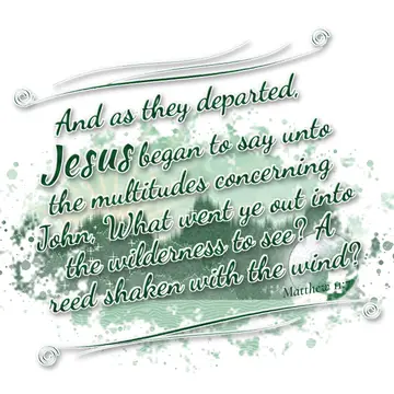 Matthew 11:7 – And as they departed, Jesus began to say unto the multitudes concerning John, What went ye out into the wilderness to see? A reed shaken with the…