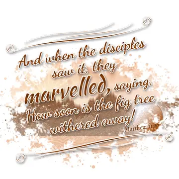 Matthew 21:20 – And when the disciples saw it, they marvelled, saying, How soon is the fig tree withered away!
