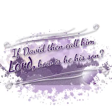 Matthew 22:45 – If David then call him Lord, how is he his son?