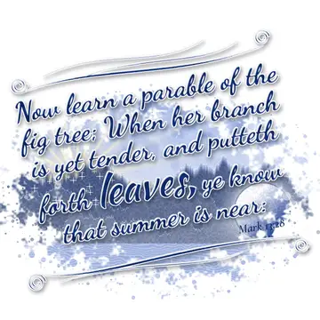 Mark 13:28 – Now learn a parable of the fig tree; When her branch is yet tender, and putteth forth leaves, ye know that summer is near: