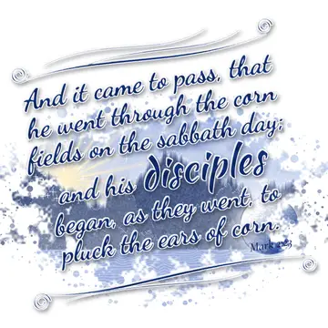 Mark 2:23 – And it came to pass, that he went through the corn fields on the sabbath day; and his disciples began, as they went, to pluck the ears of corn.