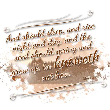Mark 4:27 – And should sleep, and rise night and day, and the seed should spring and grow up, he knoweth not how.