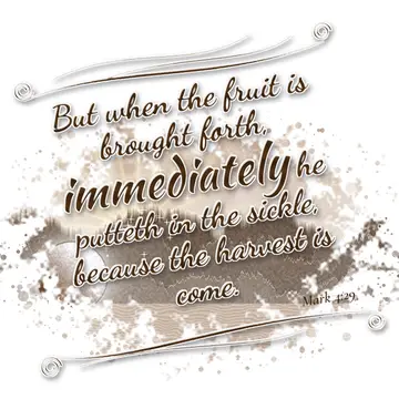 Mark 4:29 – But when the fruit is brought forth, immediately he putteth in the sickle, because the harvest is come.